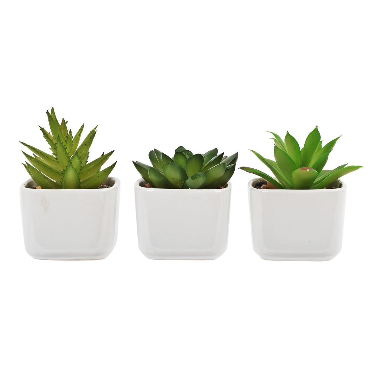 Set of 3 Artificial Succulents in 2"D Ceramic Pot, 3.5"H