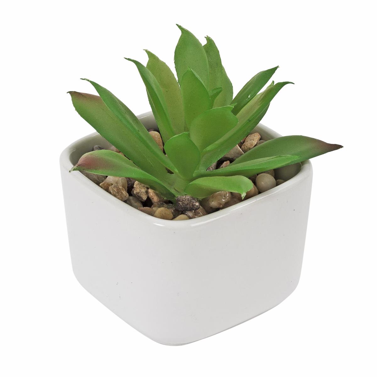 Set of 3 Artificial Succulents in 2"D Ceramic Pot, 3.5"H