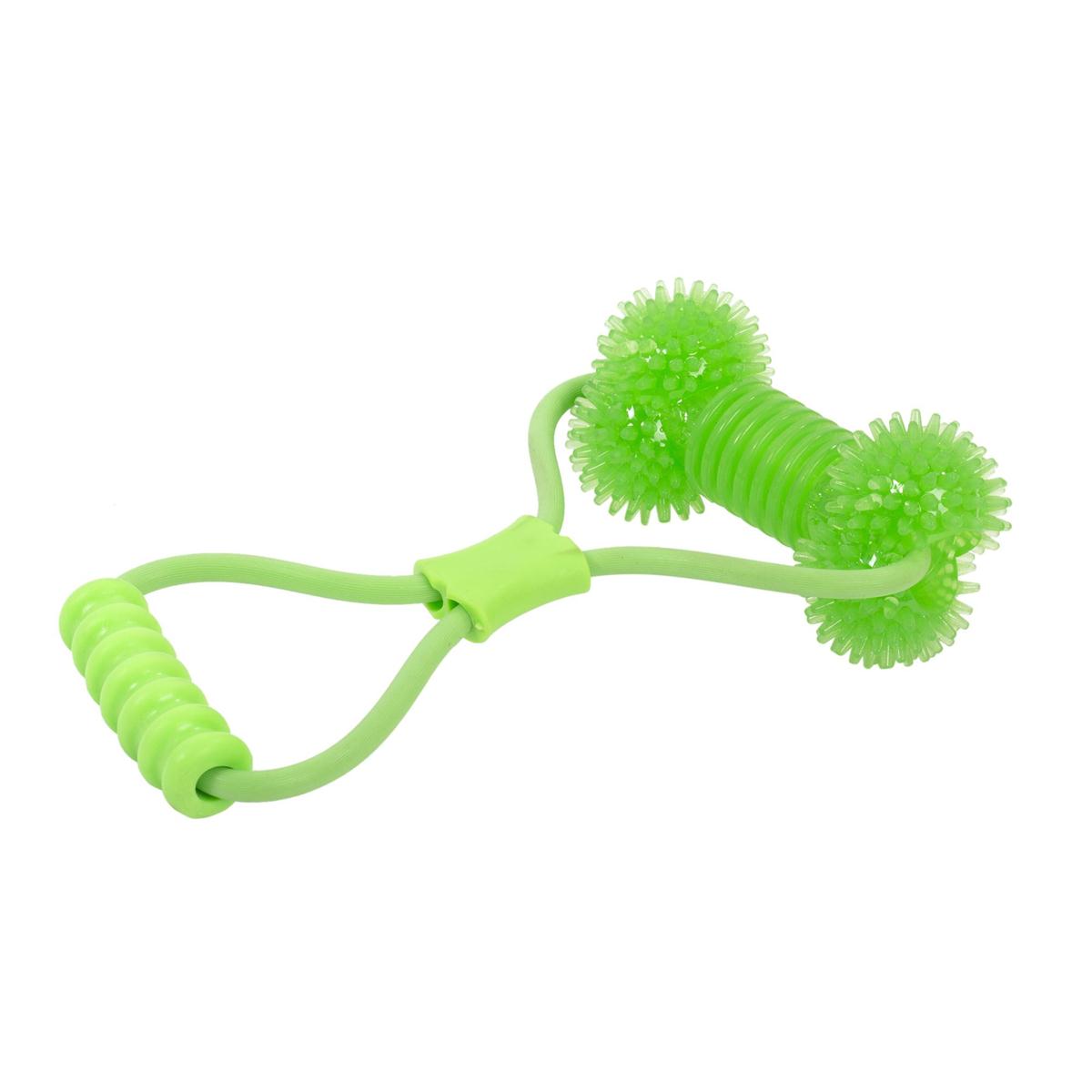 Spiney Rope PAWS Rope Tug Toy w/TPR Spiny Bone, 2/col, toc