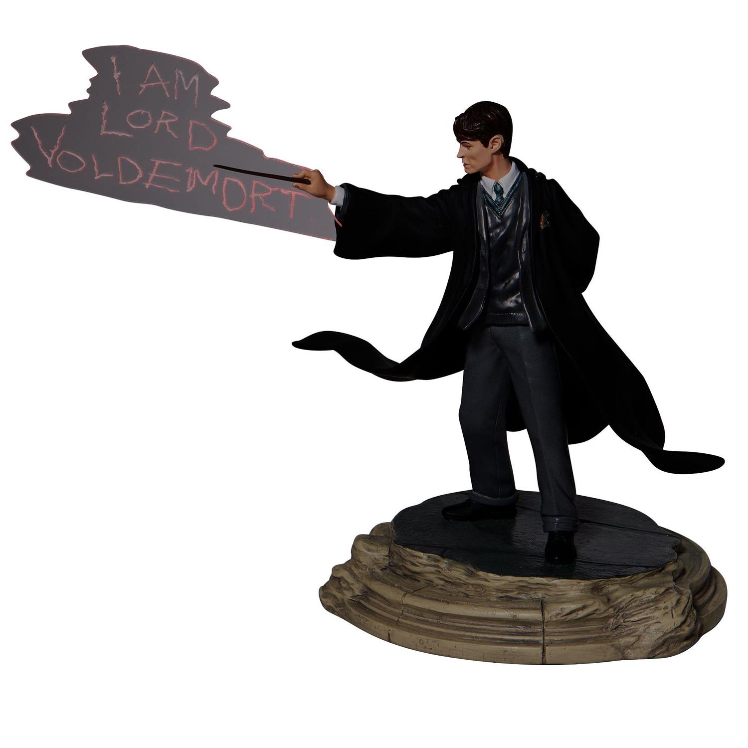 6008232 | WZDWLD Tom Riddle