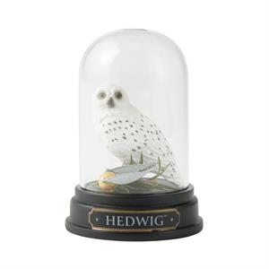 6009911 | WZDWLD Hedwig Curiosity Cloche