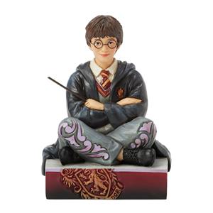 6016699 | JSHRP Harry with Wand
