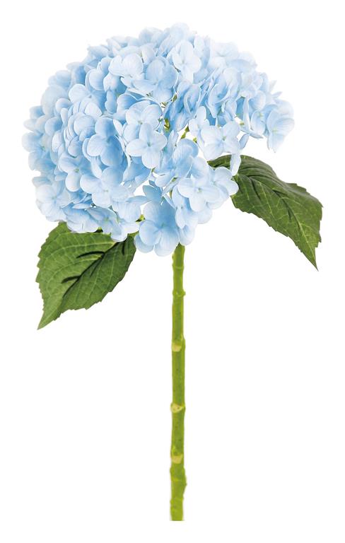 4885-W | NATURAL-TOUCH HYDRANGEA X1 20