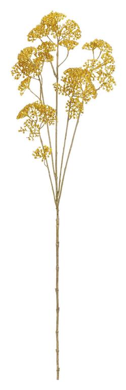 6570-MUS | ACHILLEA SPRAY, 36