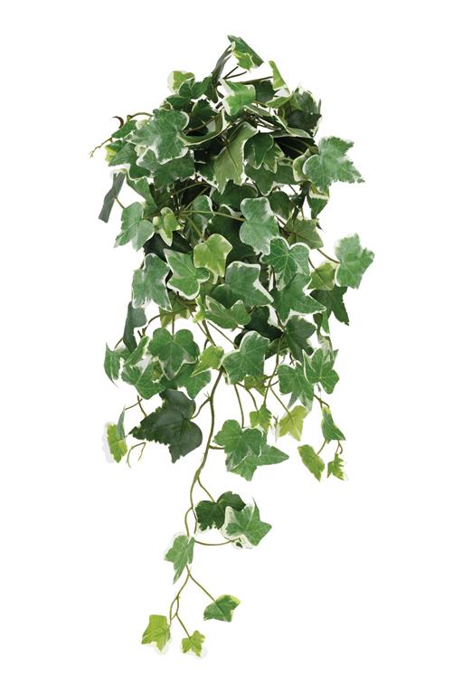 FL6702/M-VAR | IVY HANGING BUSH X8, 26