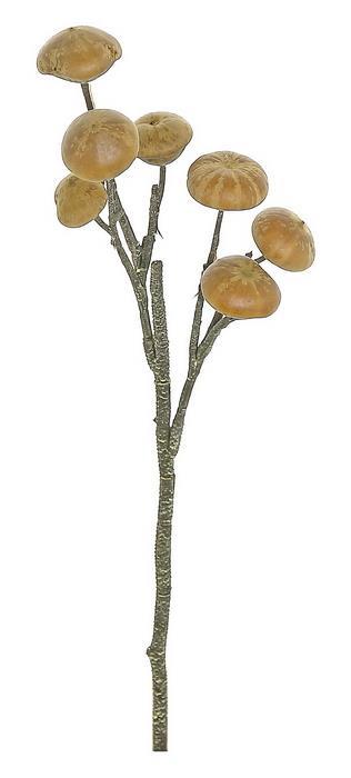 S1340-BN | LING POD SPRAY, 15