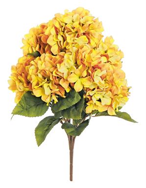 5937-MUS | HARVEST HYDRANGEA BUSH X7, 21