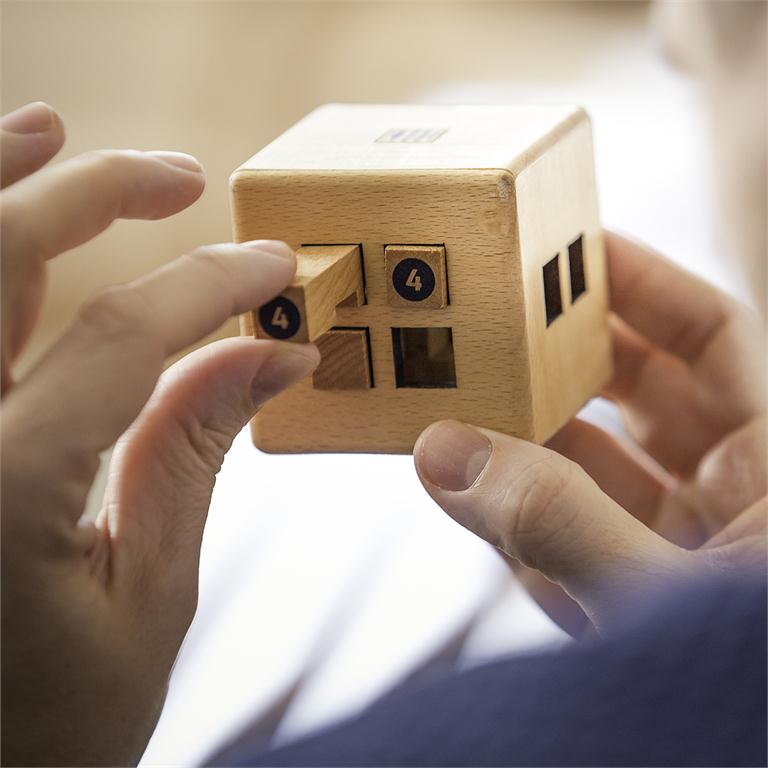 6044855 | The Sherlock Wooden Puzzle Game