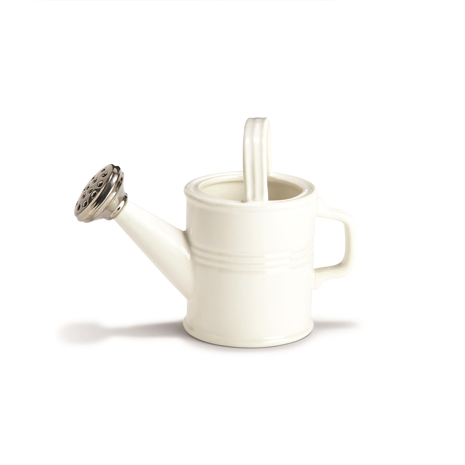 Small Watering Can Planter/Vase