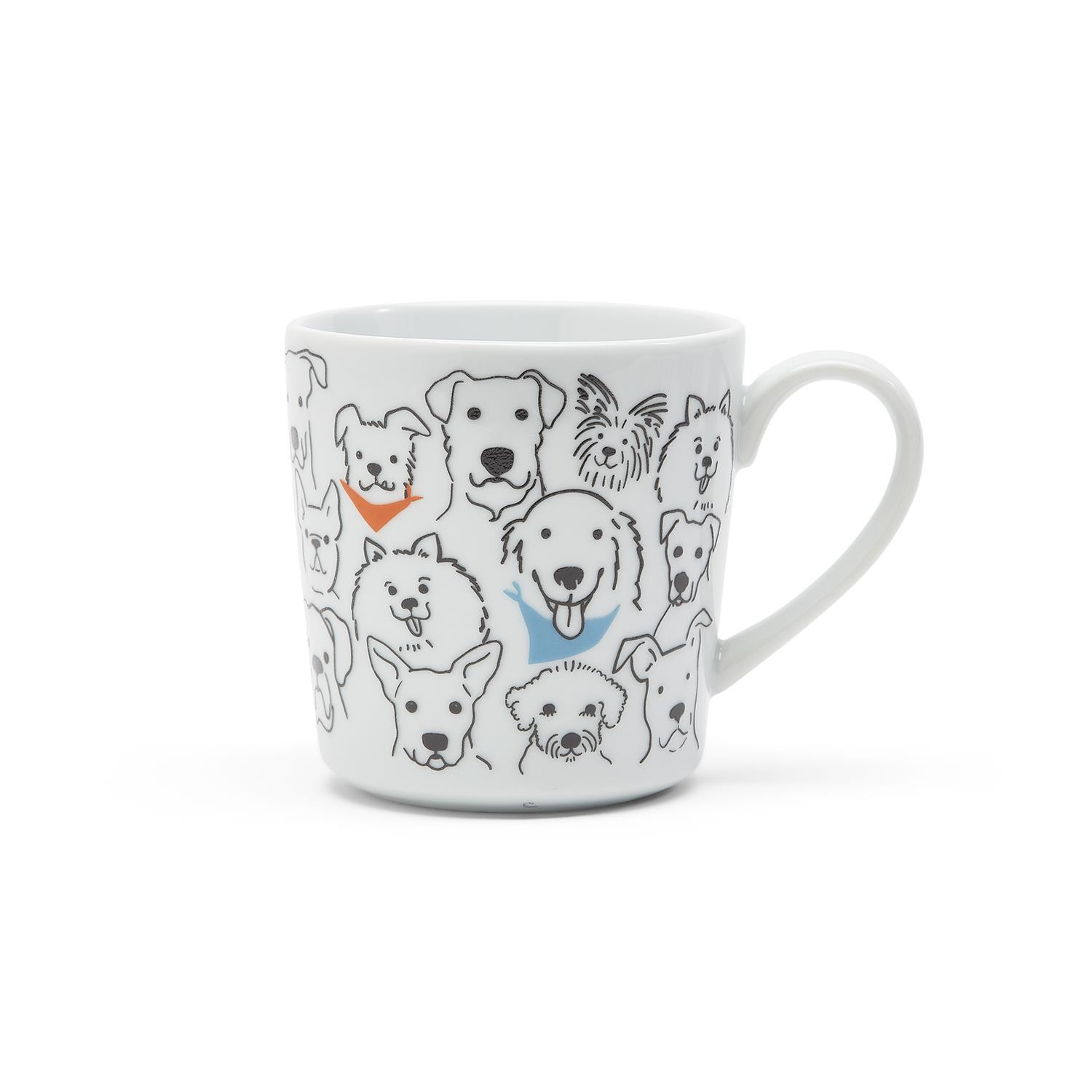 hermann tortoise starter kit