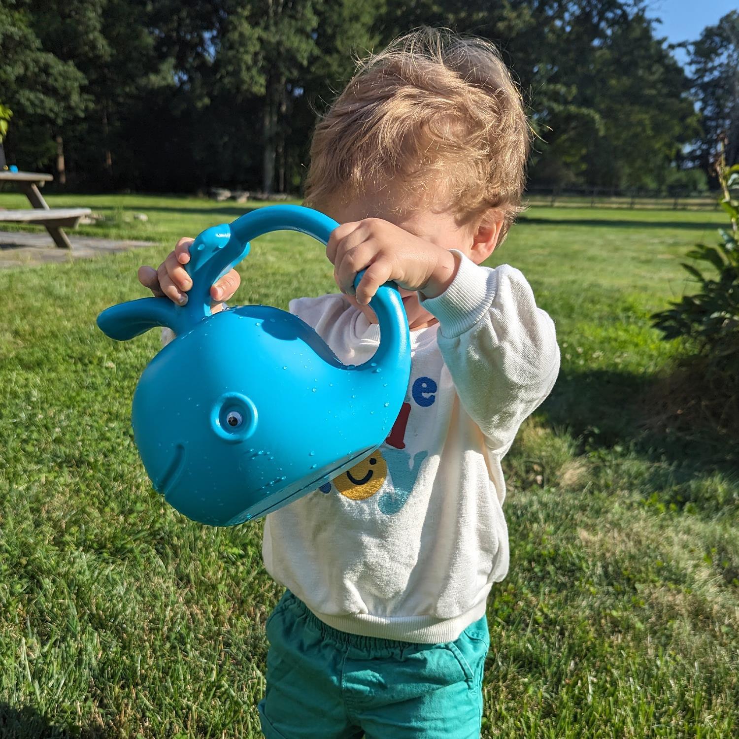 Garden Buddy Watering Can Assorted 3 Designs