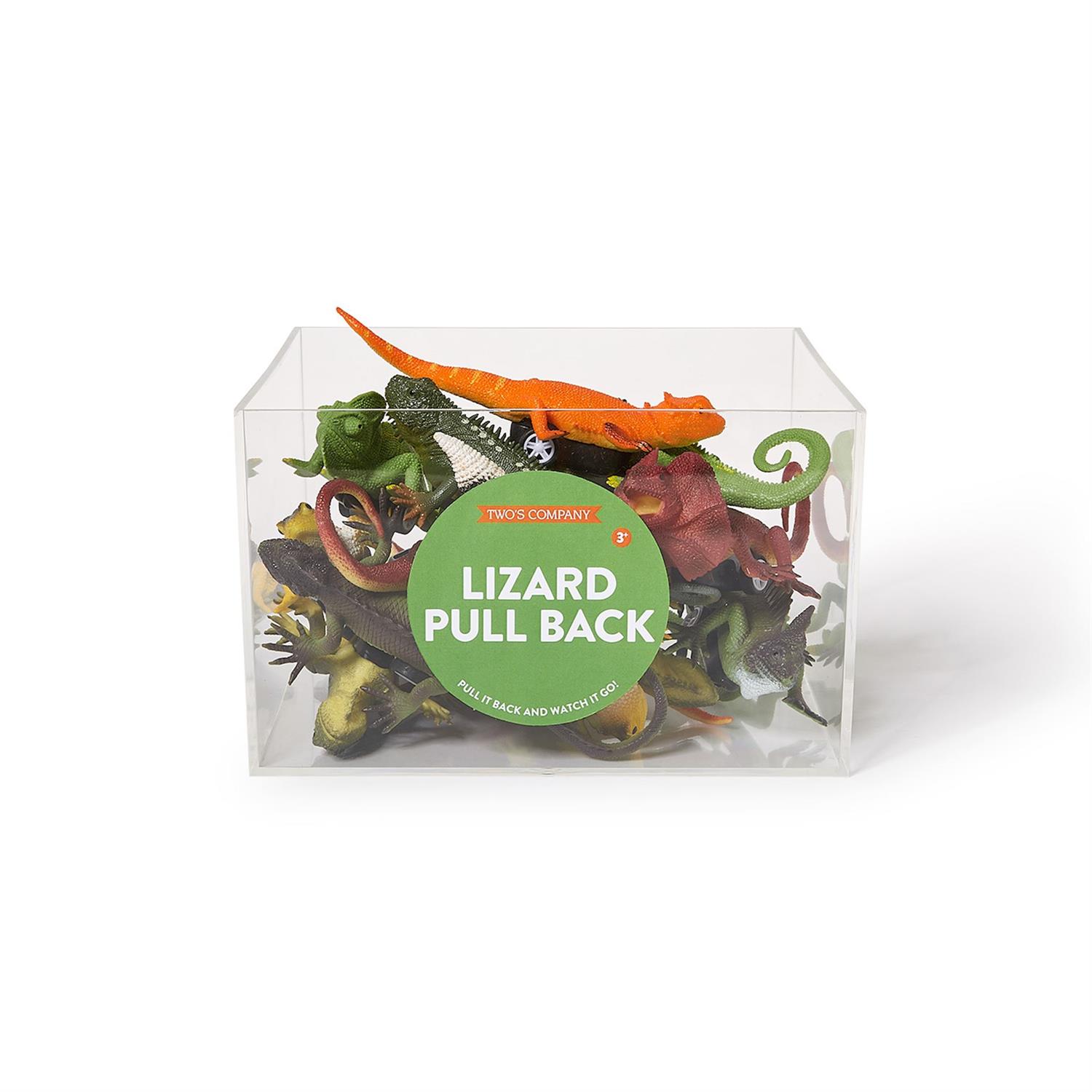Zippy 30 Pc Pull Back Lizard Toy Unit with Countertop Display
