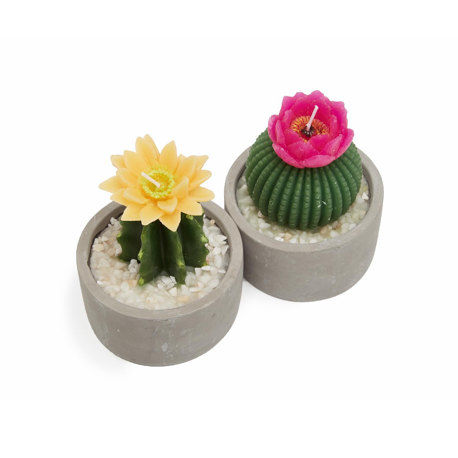 Cactus Candle in Pot Asst 2 Designs