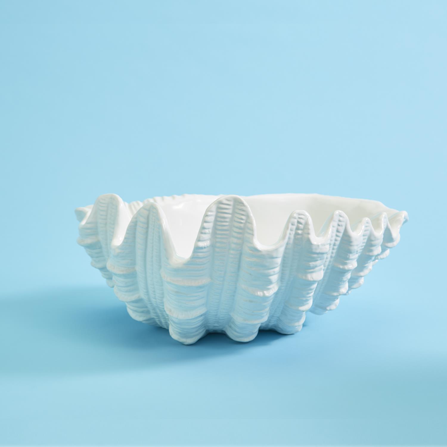 Large Clam Shell