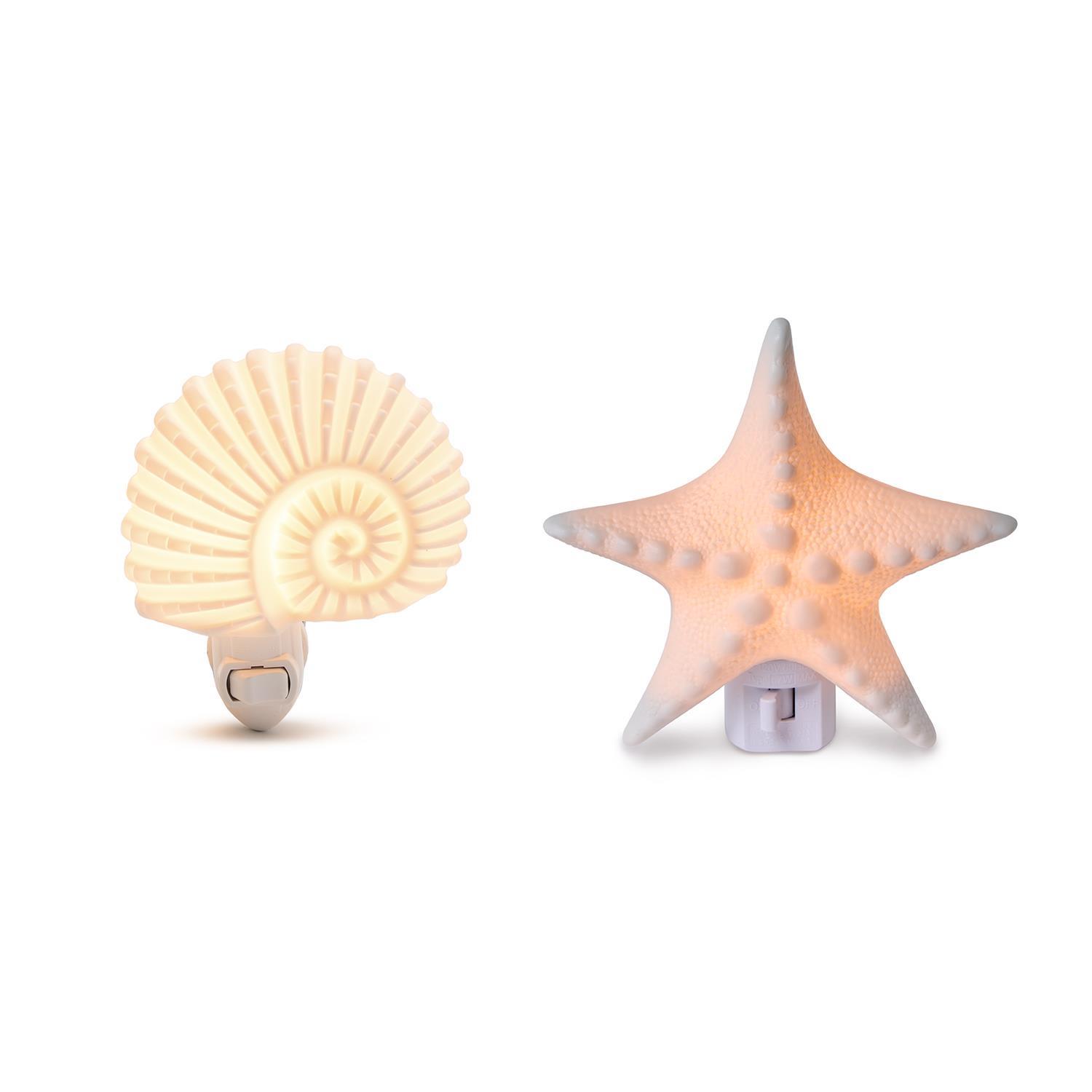 【 shell light 。 】シェルライト/ヒトデ/LED/starfish shell light 。 】シェルライト/ヒトデ/LED/starfish shell