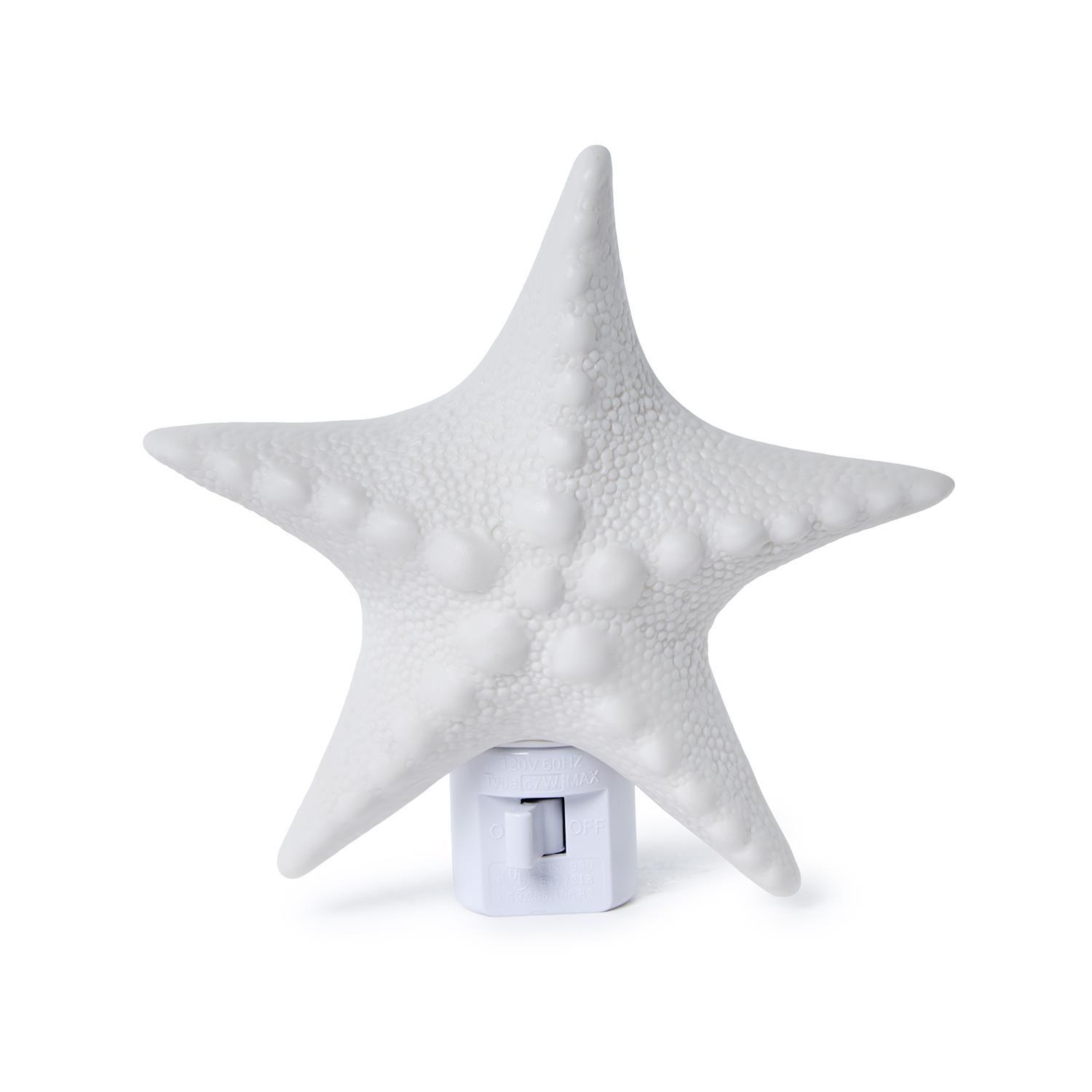 Seashell Decor Nightlight in Gift Box