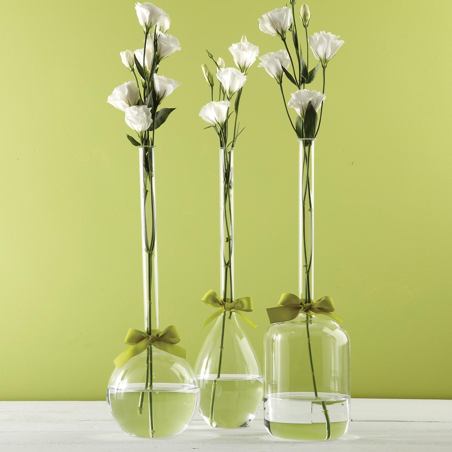 Sleek & Chic Vase Trio (Includes Green Ribbon)