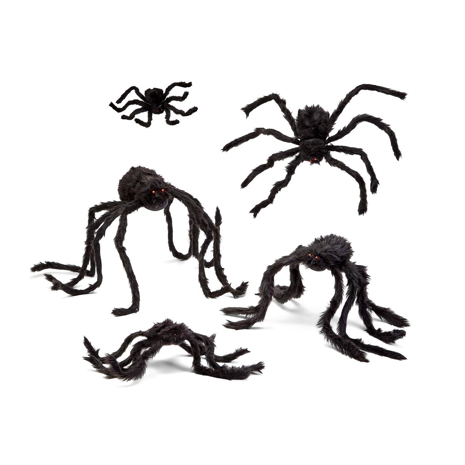ねこ1/f SpiderとIRONBOARD s セット Arachnid Set of 5 Spiders Includes 5 Sizes