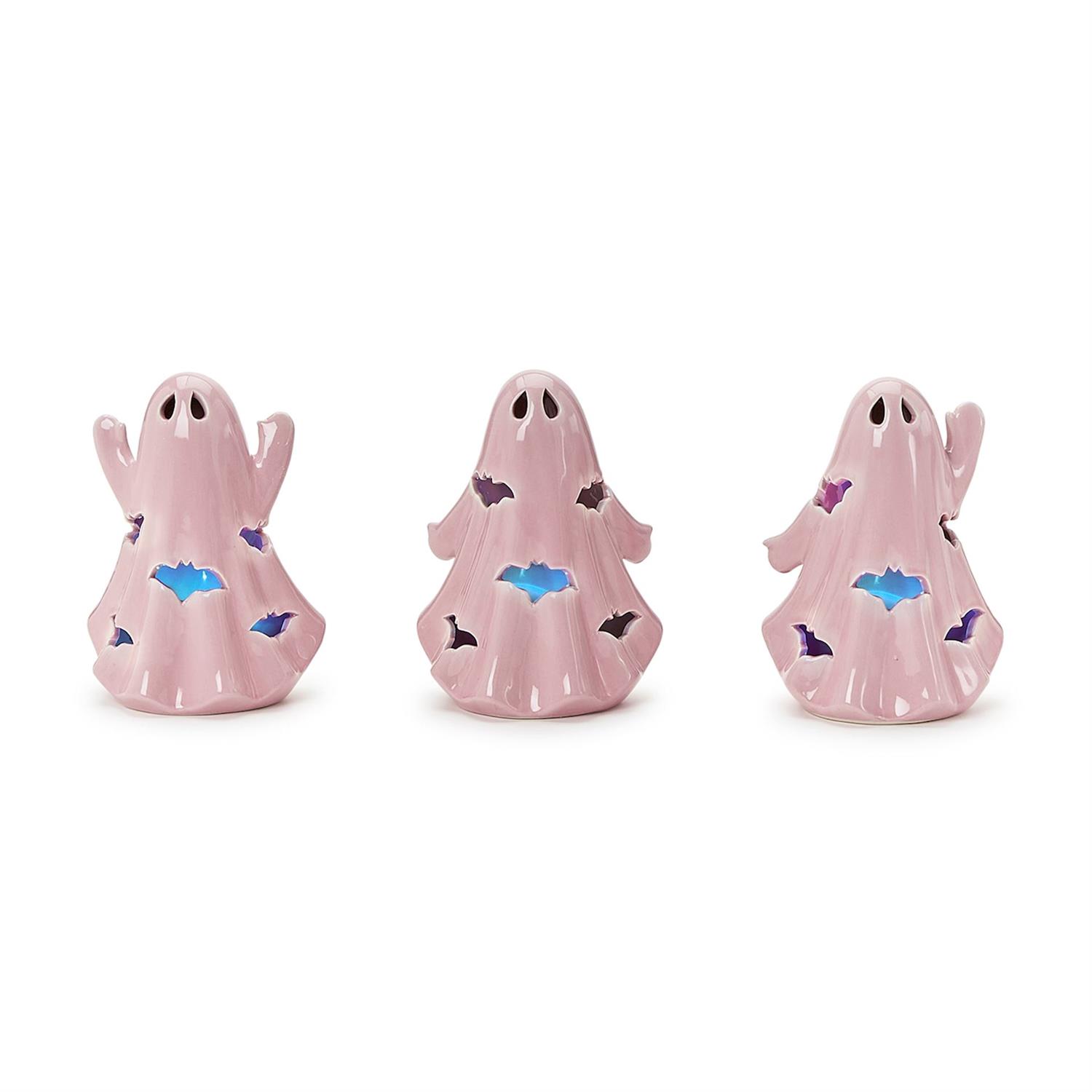 【週末SALE】VALIEM GHOST Mサイズ2色セット CATEGORY valiem | A-PLANTS|塊根植物販売