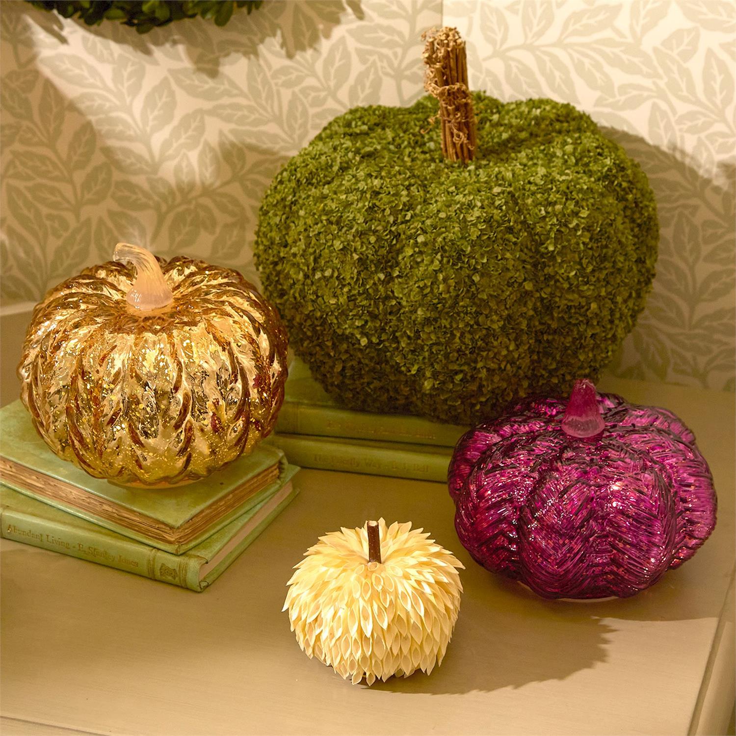 Set of 2 Preserved Natural Buckwheat Husk Pumpkins Includes 2 Sizes