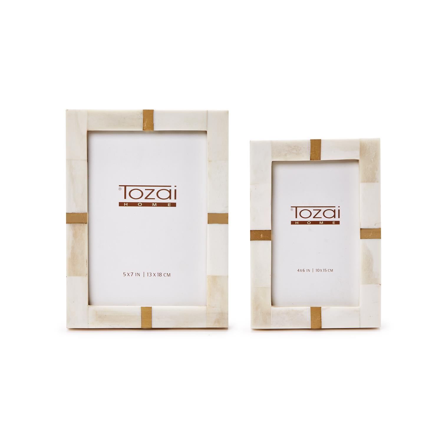 Bone and Brass S/2 Photo Frame