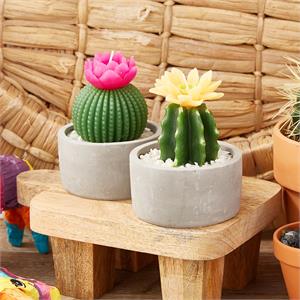 Cactus Candle in Pot Asst 2 Designs