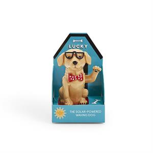 Lucky the Happy Waving Dog in Gift Box