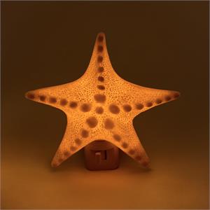 Seashell Decor Nightlight in Gift Box