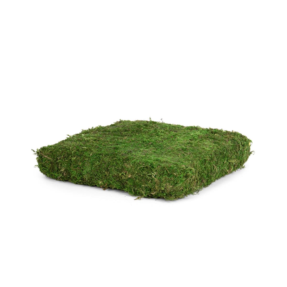 85589M | SQ MOSS RISER