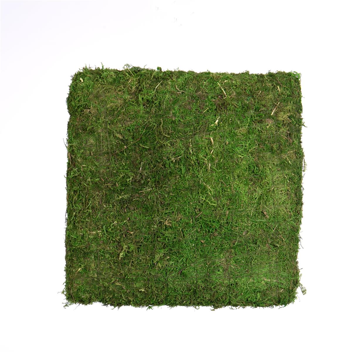 85589M | SQ MOSS RISER