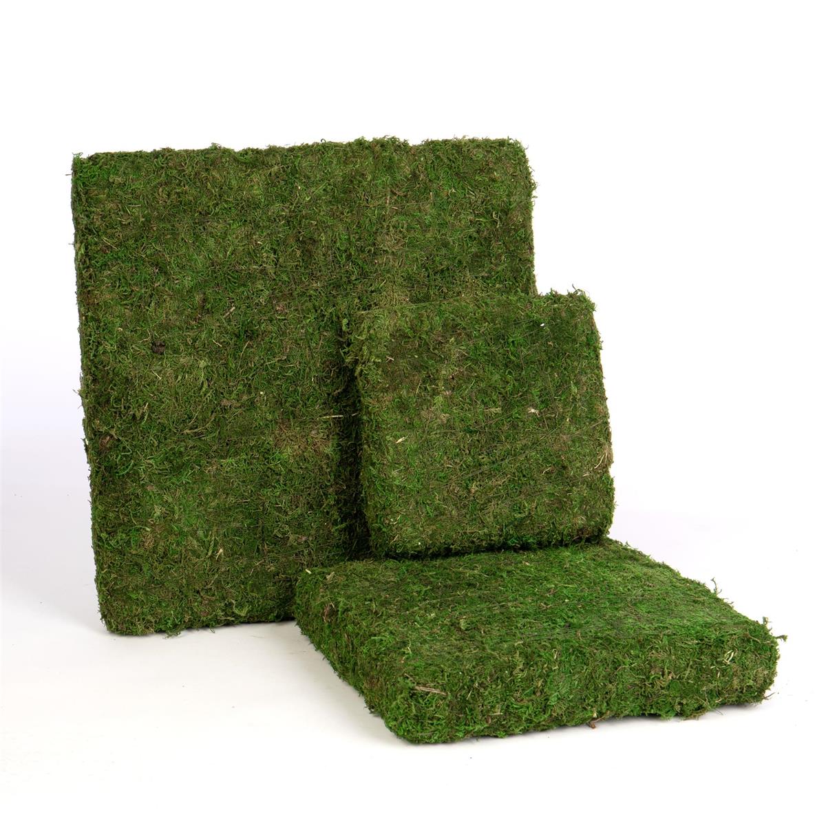 85589M | SQ MOSS RISER