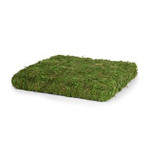 85589M | SQ MOSS RISER