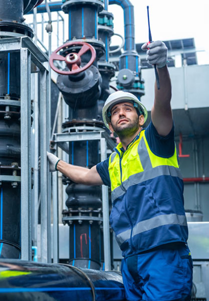 873420_products_pvf.jpg