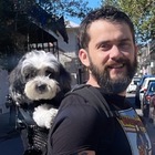 <span class="user-name "><span class="user-name__text">Mark Lanpher</span></span>