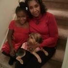 <span class="user-name "><span class="user-name__text">Louise Cofield</span></span>