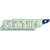 Netnpa_avatar