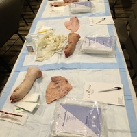Suturing...The Basics