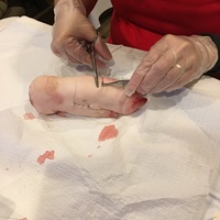 Suturing...The Basics