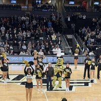 CFANPC President-Elect, Deb Tedesco honored at the UCF-FAMU Veteran's Day Basketball game for her military service for our nation