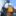MSNexploder