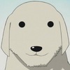 murphy (at rubychan)