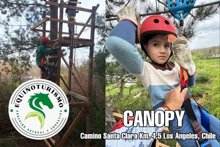 Canopy Aventurero