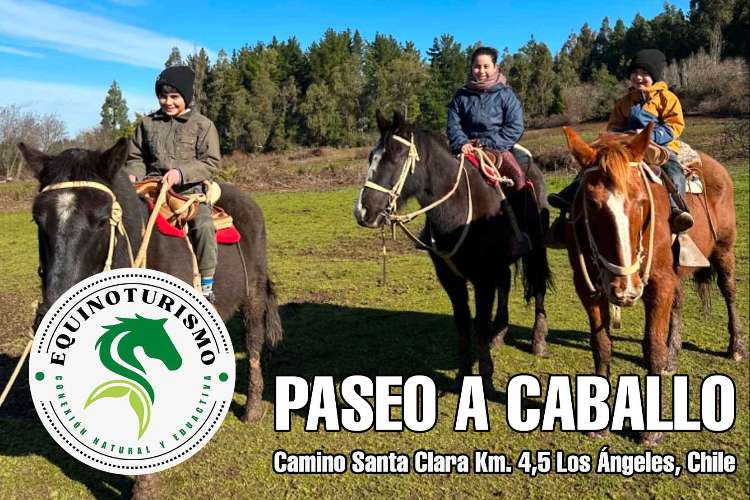 Paseos a Caballo