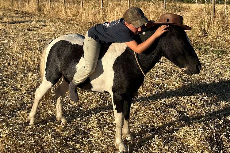 Actividad asistida con caballos