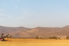 Actividad de Testeo