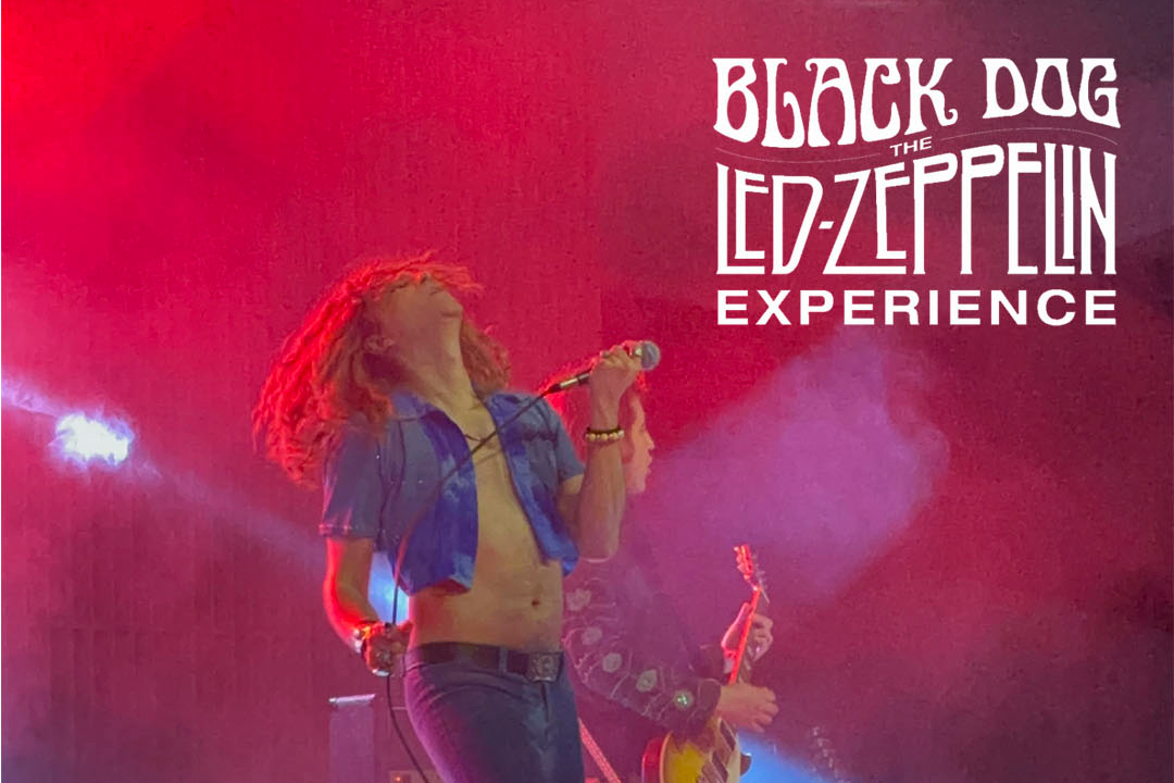 LED ZEPELLIN EXPERIENCE