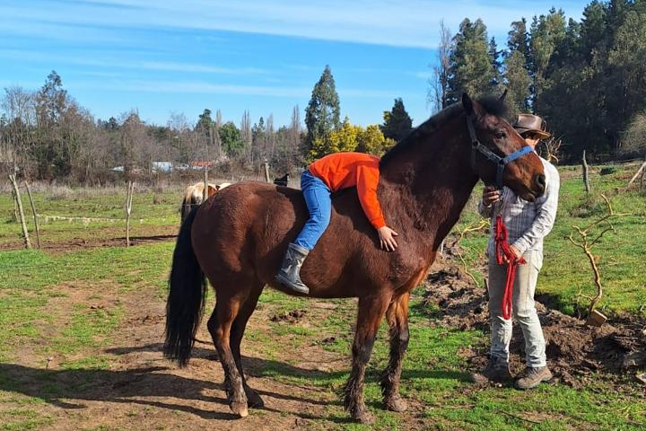 Equinoterapia
