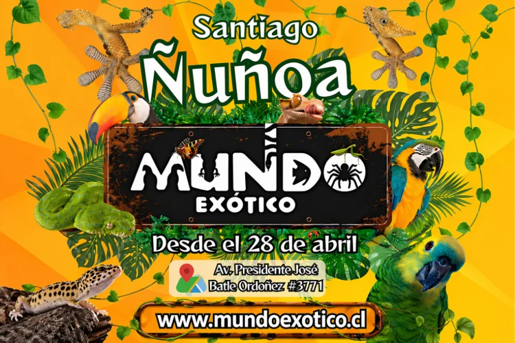 MUNDO EXOTIVO VUELVE A ÑUÑOA