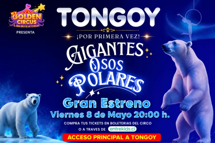 Gigantes Osos Polares en Tongoy con New Golden Circus