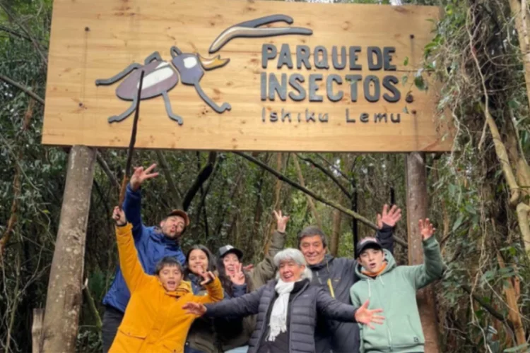 Parque de Insectos Ishiku Lemu - Valdivia